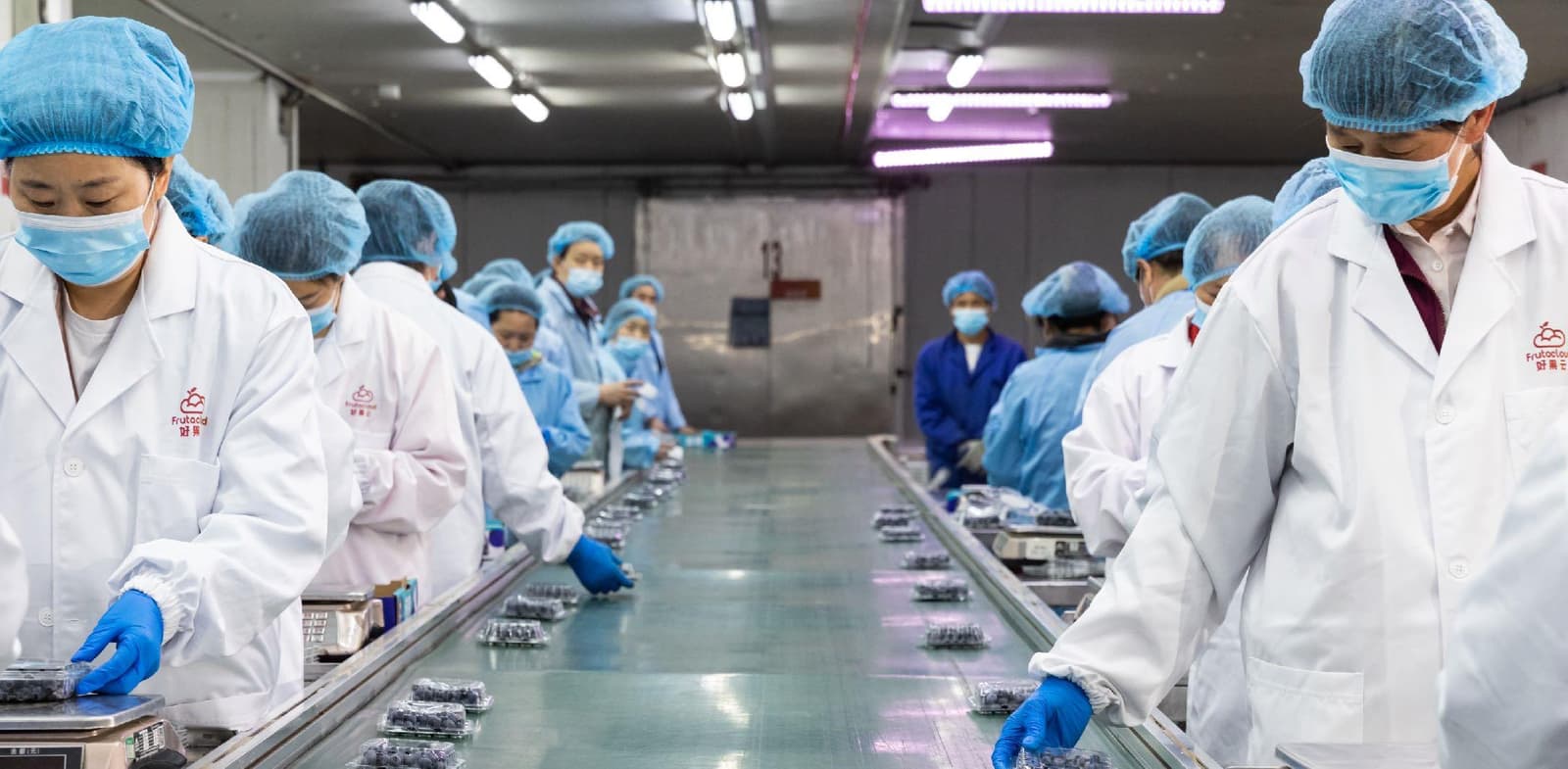 Blueberry processing line at the Shanghai center