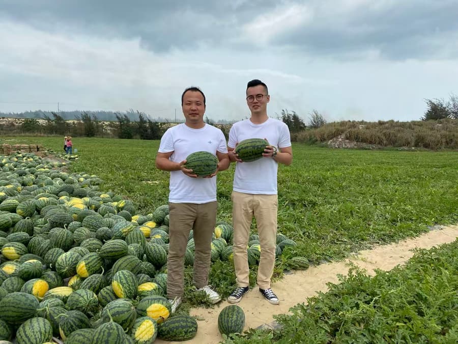 Watermelon, sourced at origin