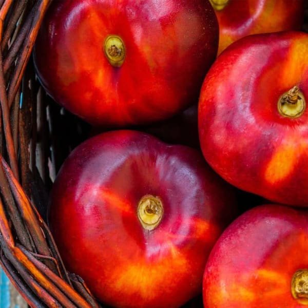 Chilean flat nectarines