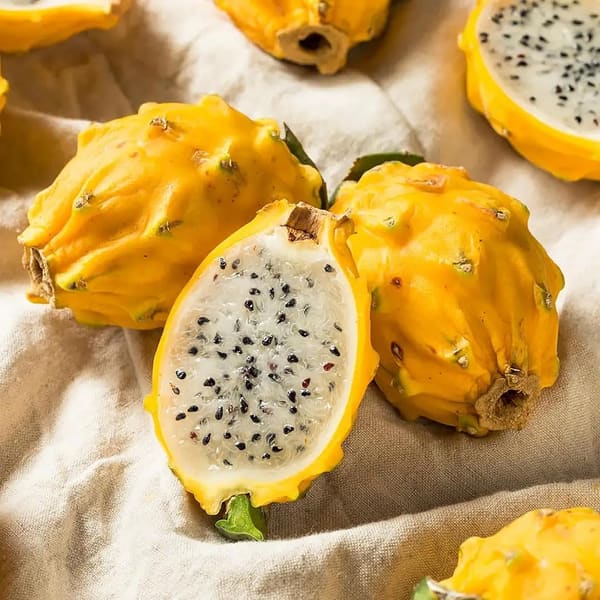 Ecuadorian yellow pitahaya