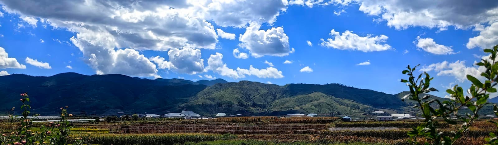 Orchards at the foot of the mountains