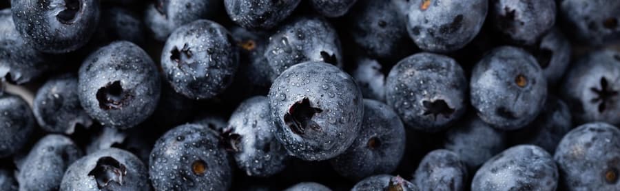 Berries