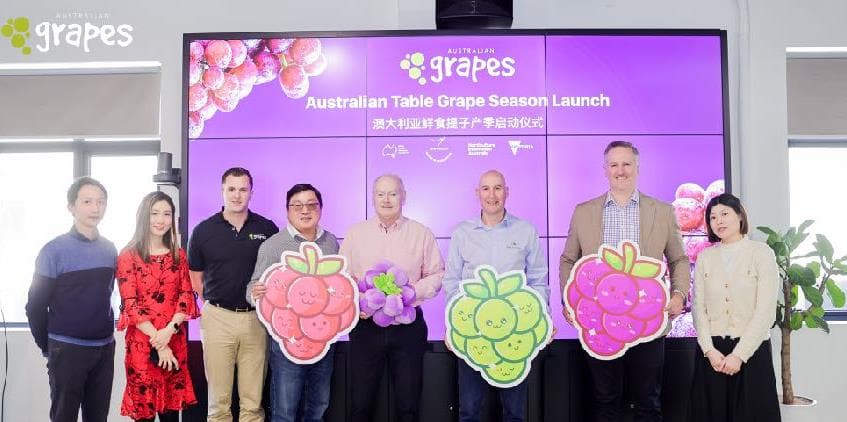 Brand season launch and marketing event